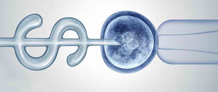 试管婴儿胚胎移植经验分享