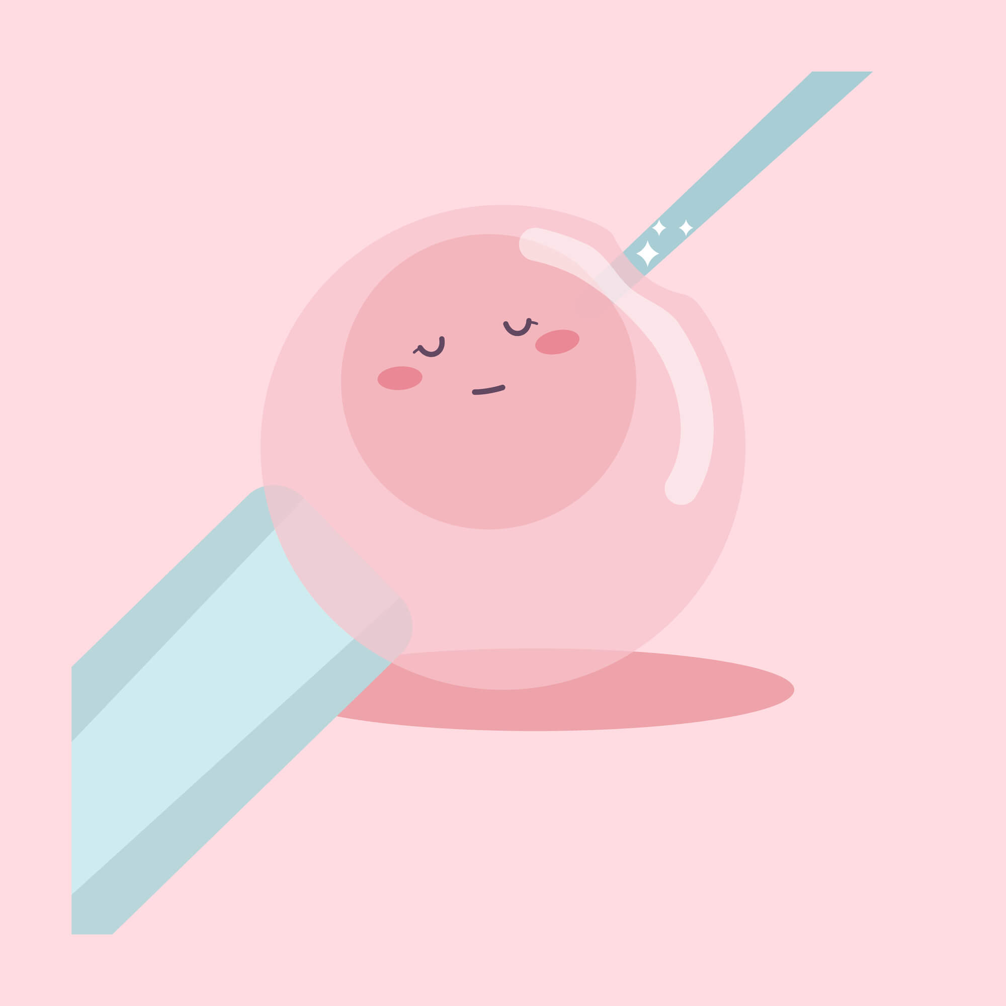 试管婴儿胚胎移植技术回顾分析